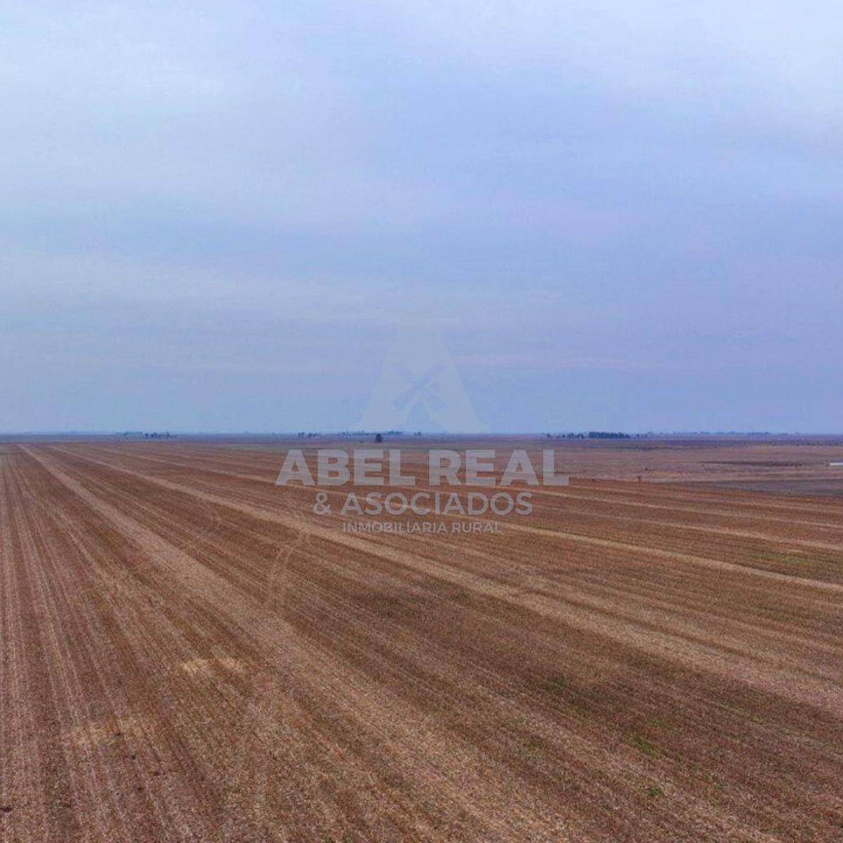 70 Ha Blaquier Prov. de Buenos Aires