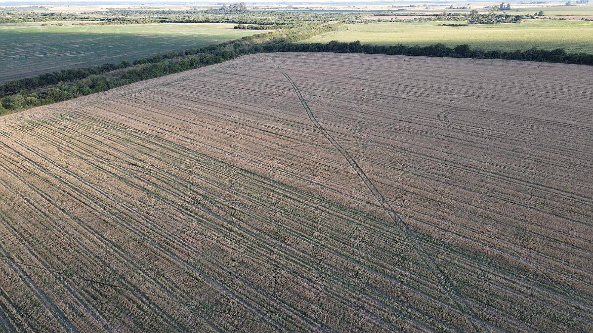 250 Hectáreas de Campo Agrícola en Gualeguaychú, Sobre Ripio