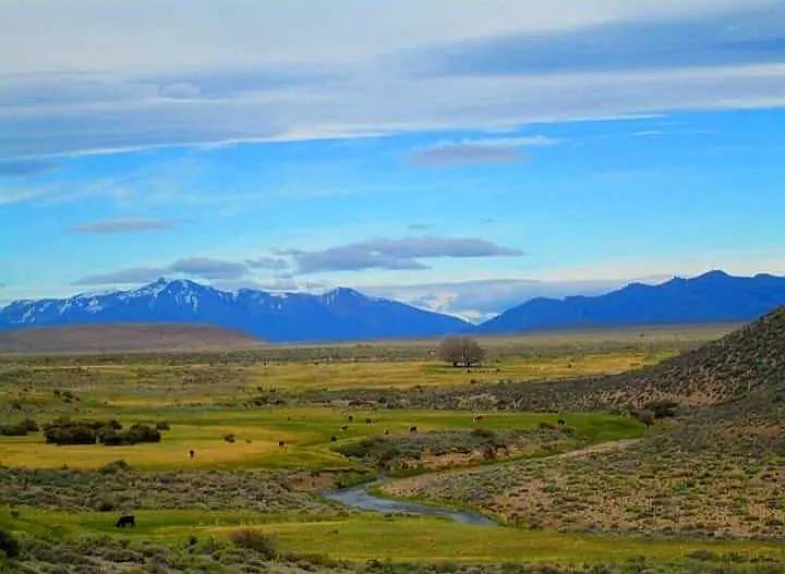 Gualjaina, Cushamen, Chubut - 2.501 Ha