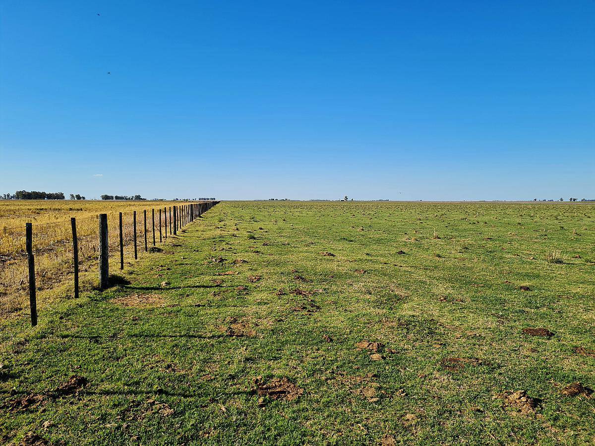 Vendo 300 Ha Mixtas en Casalins