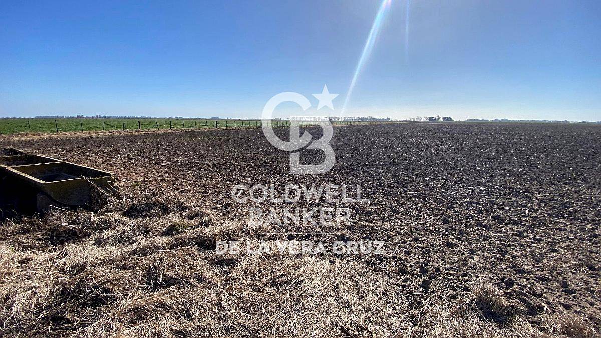 Venta Campo Agricola Mixto en Luis Palacios- Santa FE