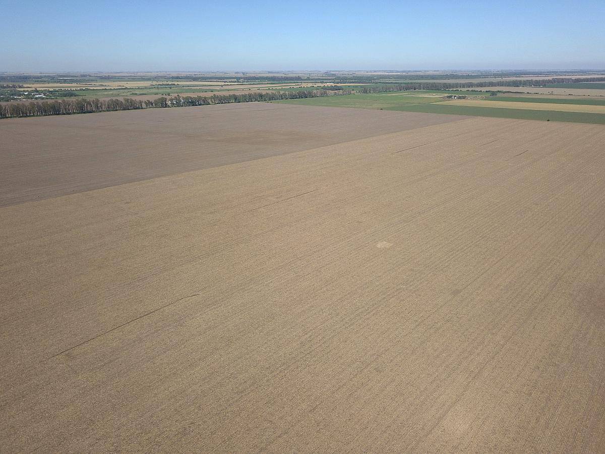 Venta Campo Agrícola 250 Has