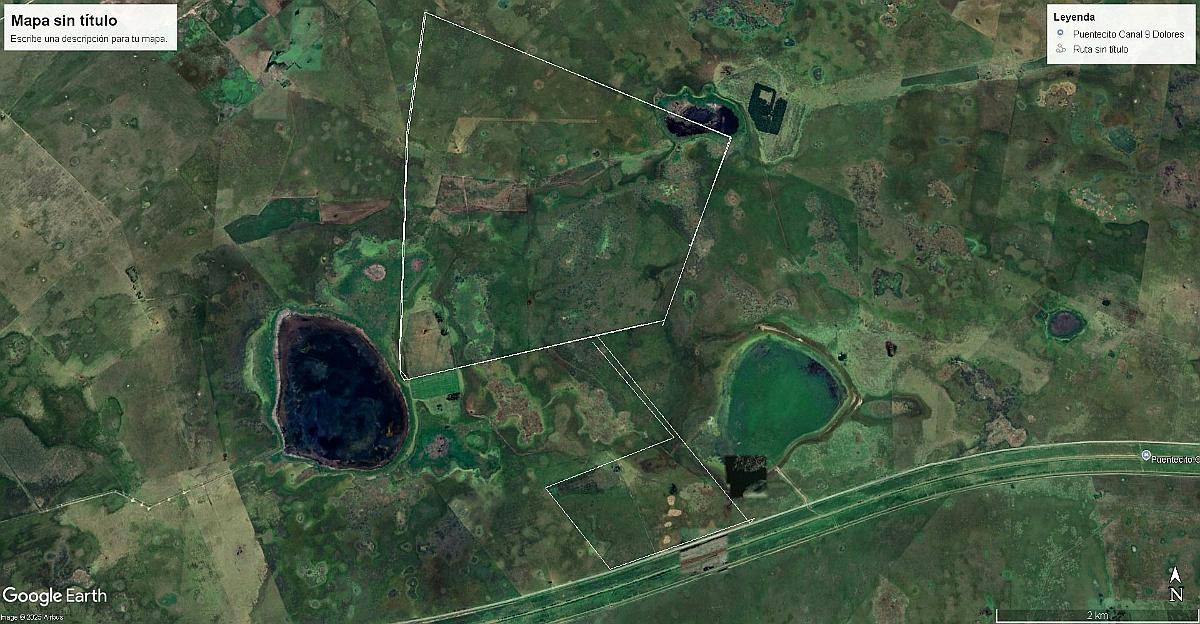 Realico la Pampa Argentina