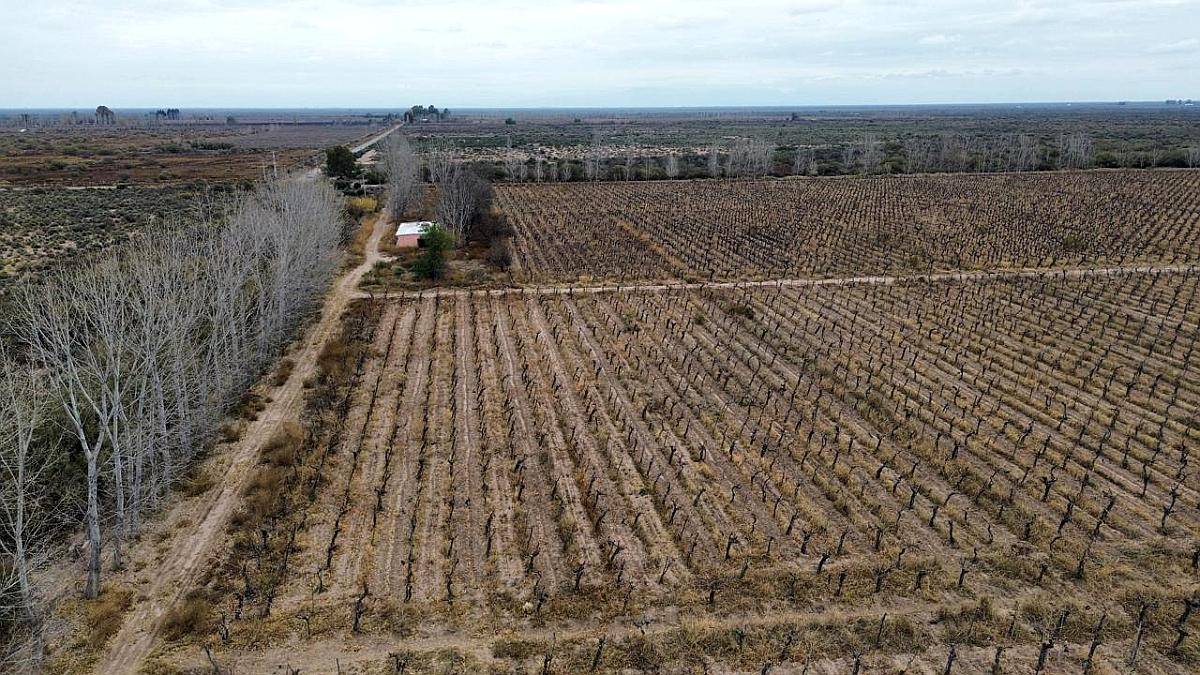 100 Ha Sobre Ruta 142 Gustavo Andre