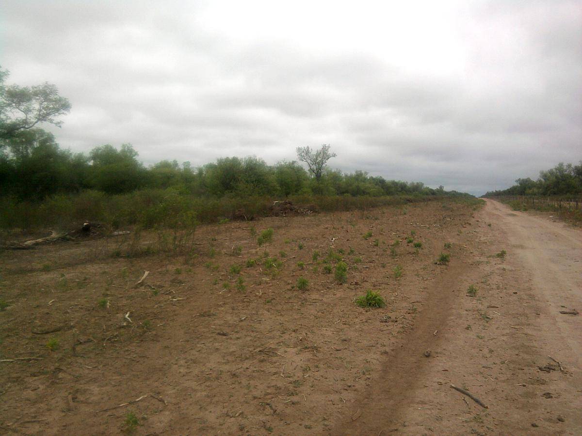 Ojo de Agua Campo a Desarrollar