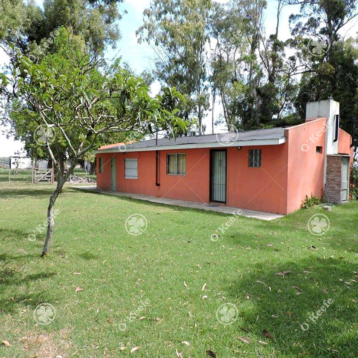 Campo en Venta 57 Has Punta Indio. Ganadero y Disfrute