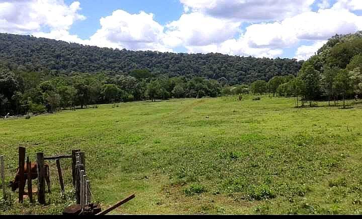 Vendo 80ha en San Vicente Misiones Argentina