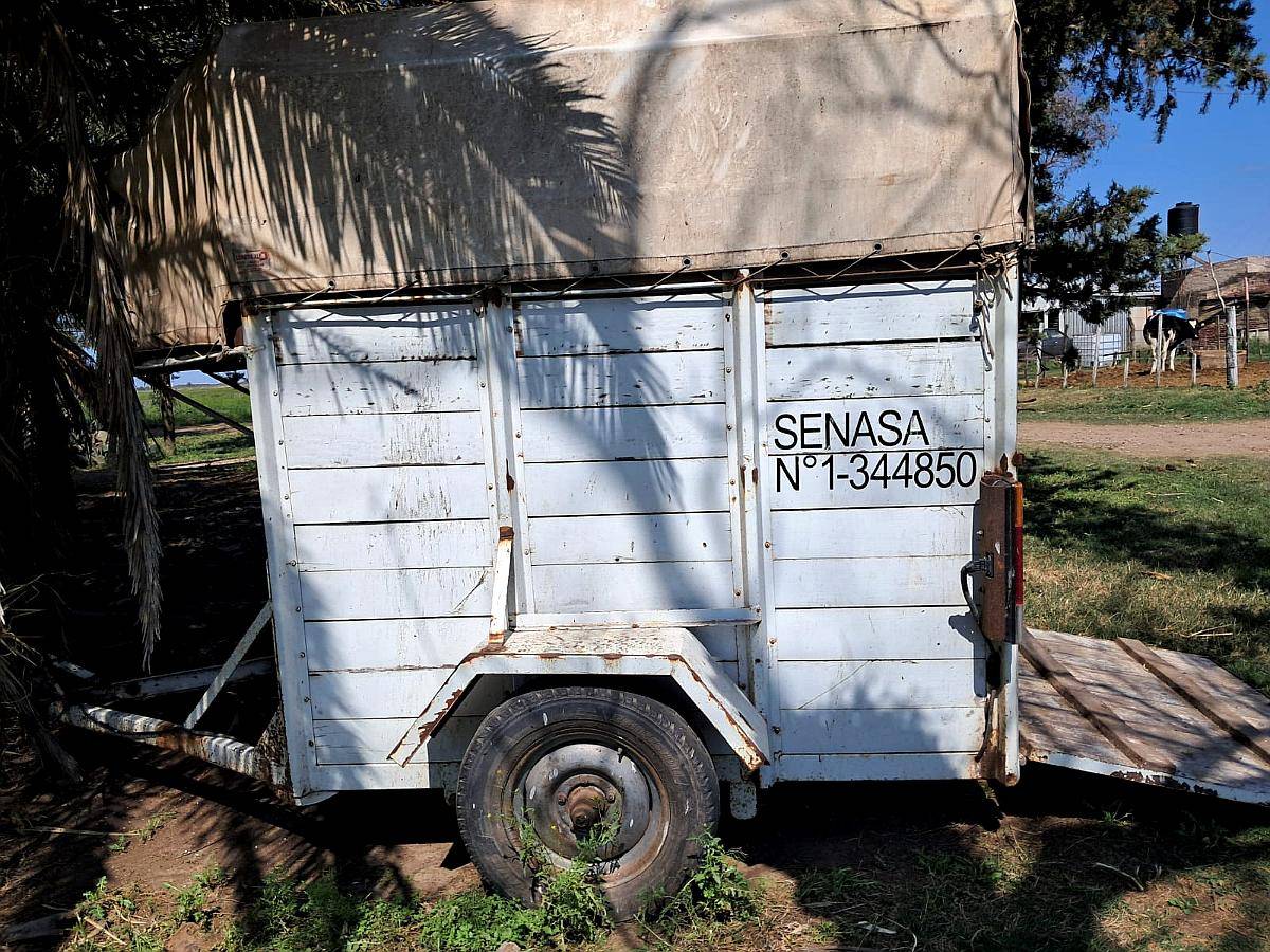 Trailers para Dos Caballos