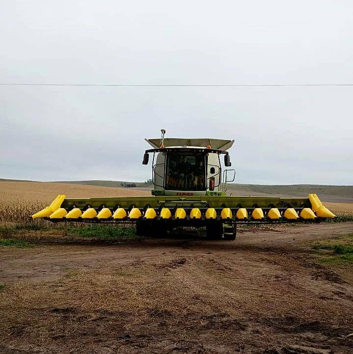 Maicero Allochis de 16 a 52 cm