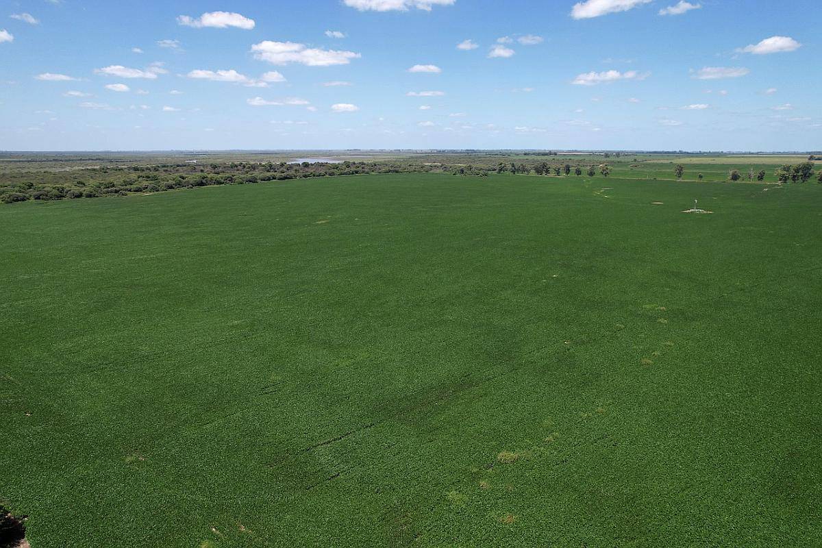 188 Has Agrícolas Colonia Angeloni San Justo Santa FE
