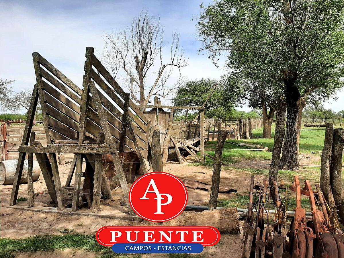 En Venta 2500 HA. Carro Quemado, la Pampa
