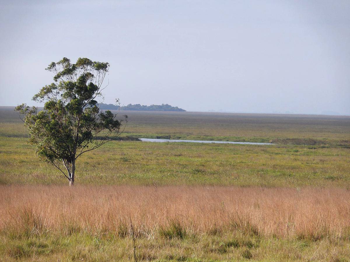 Vendo Campo 5000 Hectáreas en San Roque Corrientes