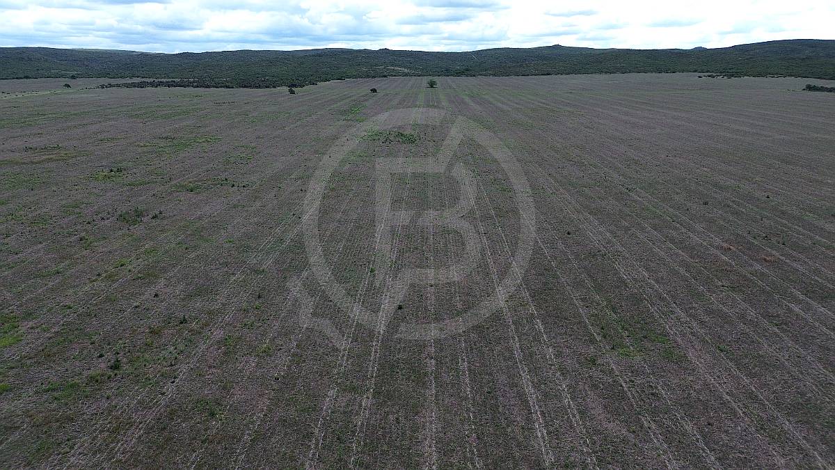 Campo Mixto en Venta- 3.068 Ha en San Pedro Norte, Córdoba