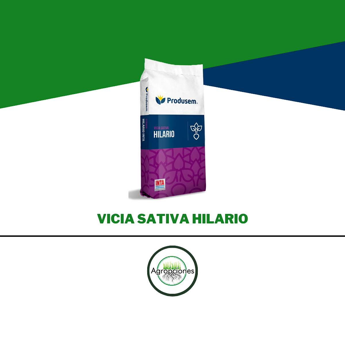 Semilla de Vicia Sativa Hilario Inta - Semillero Produsem