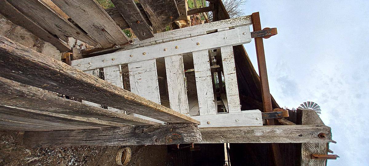 Balanza para Pesar Hacienda Cap. 1500kg Usada