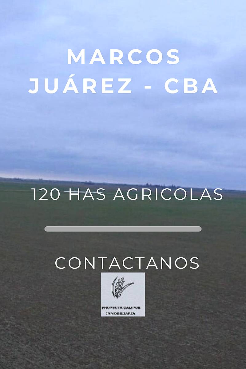 Venta- 120 Has Zona Marcos Juárez