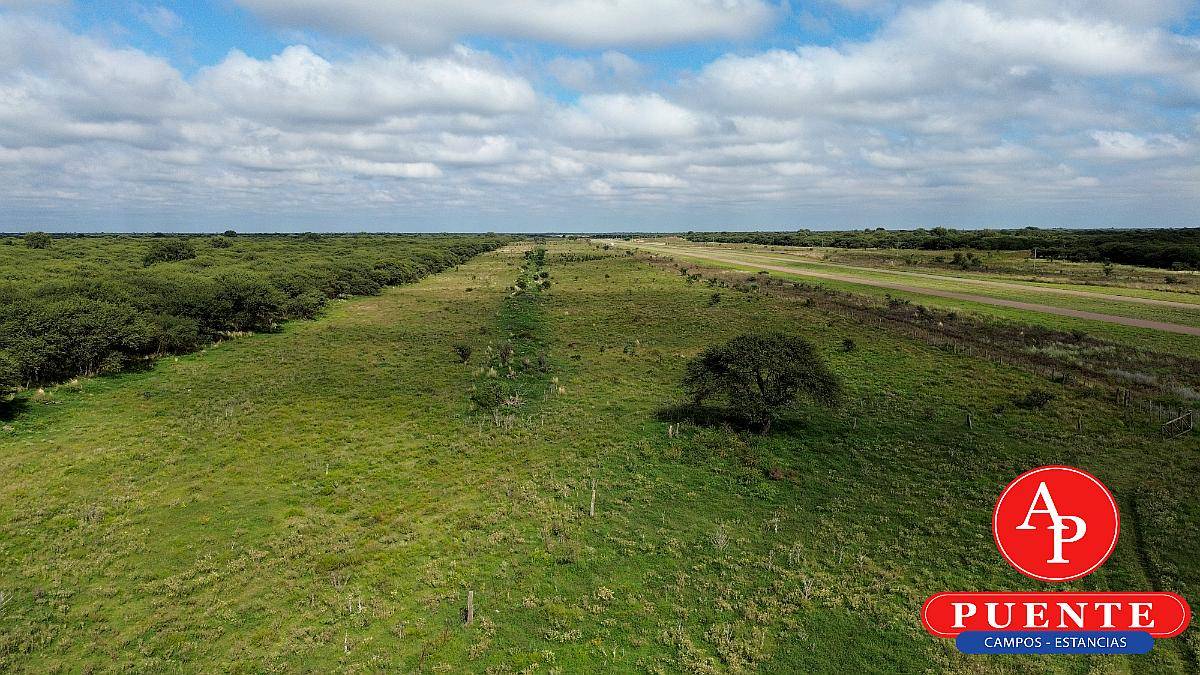 En Venta Campo Ganadero