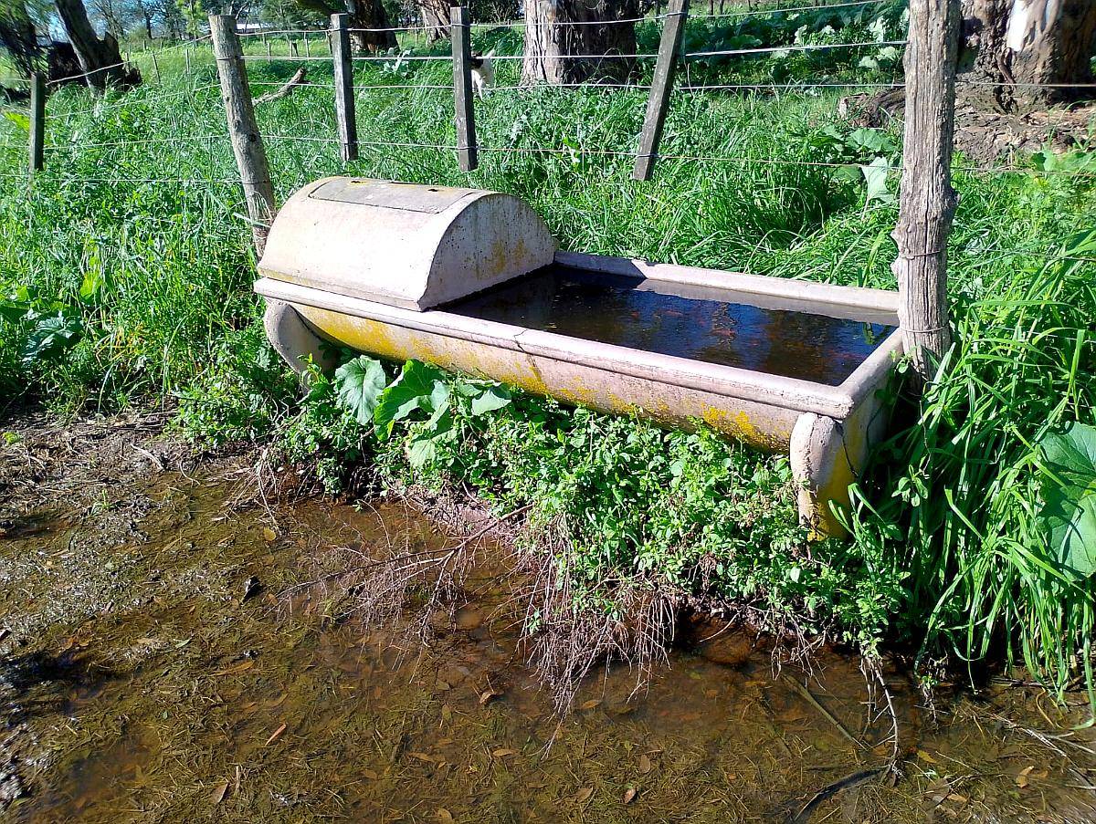 Bebederos con Flotante de Hormigon Completo 2 Unidades