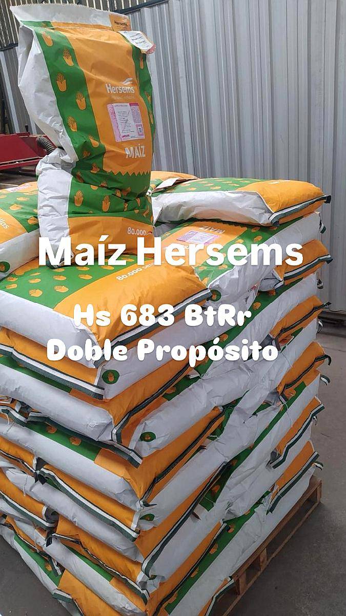 Maíz Hersems Hs 683 Btrr