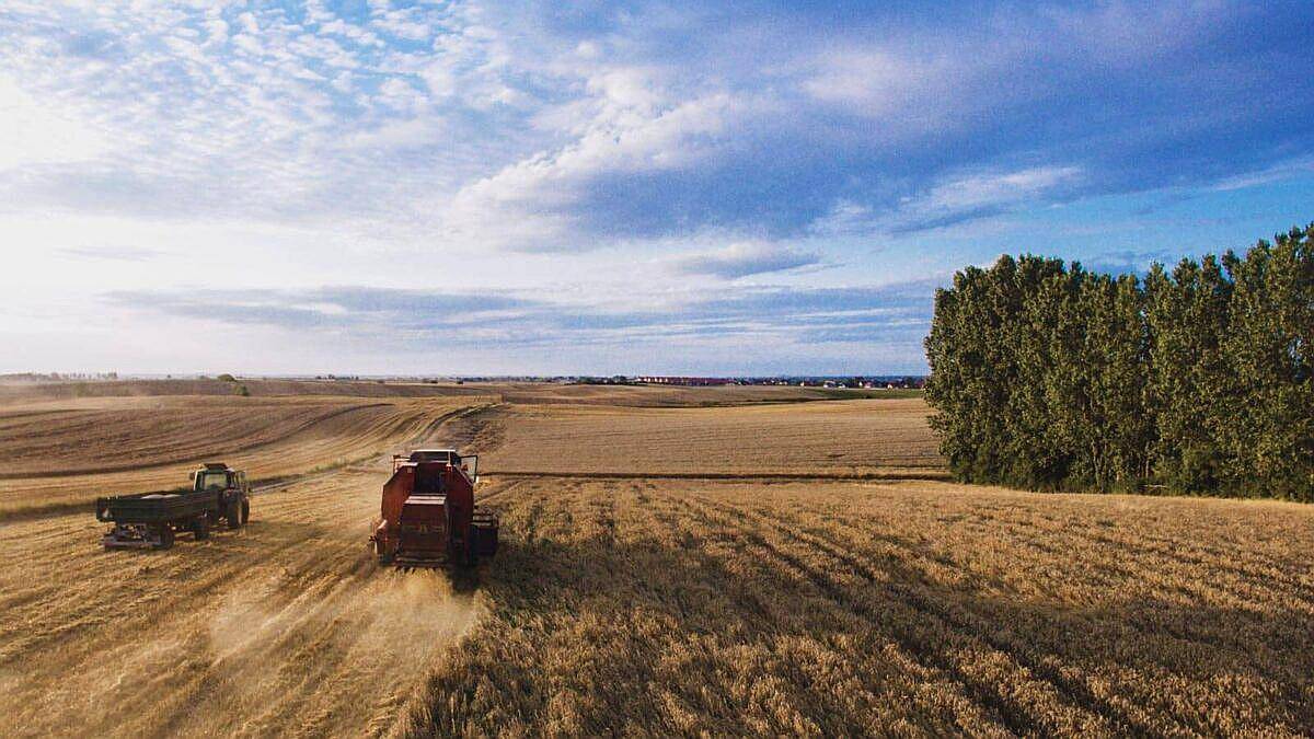 Venta Campo Mixto de 830 Hectáreas en Gral Madariaga BS. A.