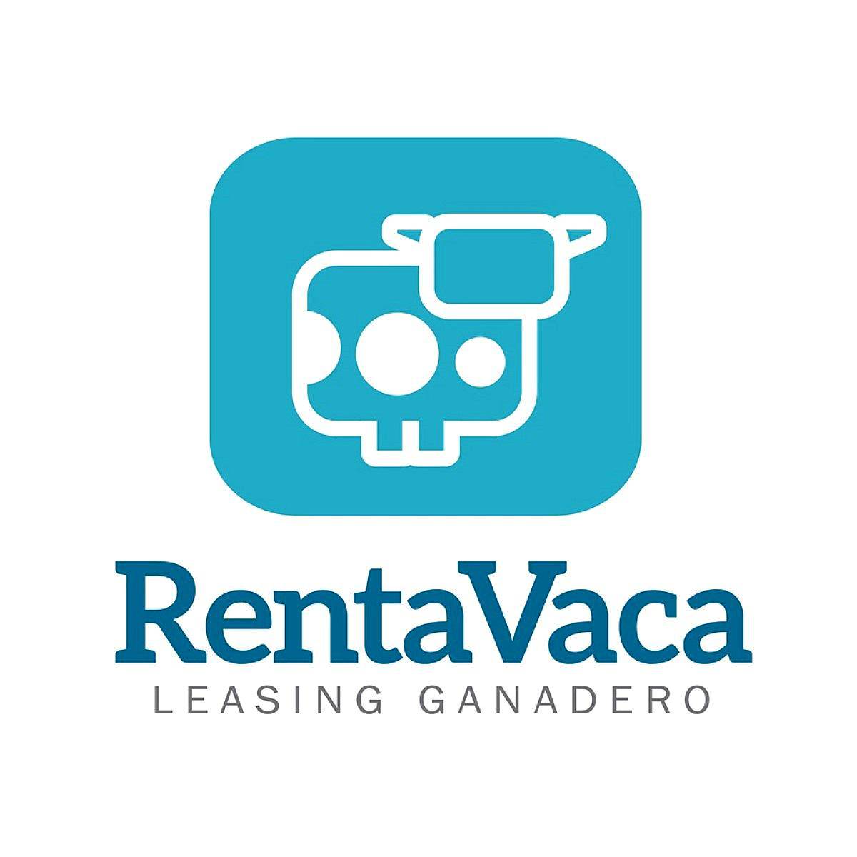 Vaquillonas Holando Comprá con Leasing