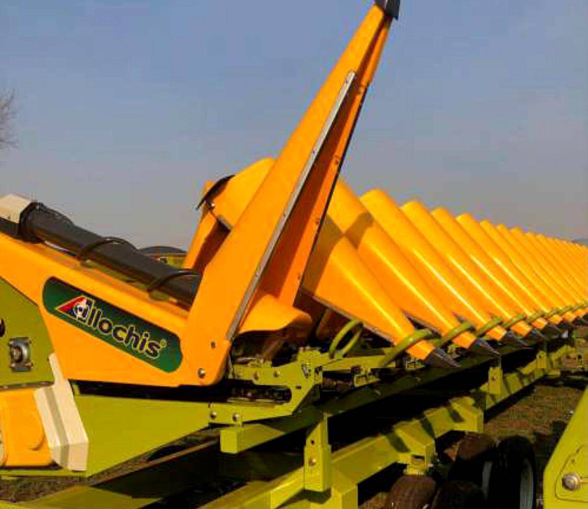 Maicero Allochis de 16 a 52 Nuevo