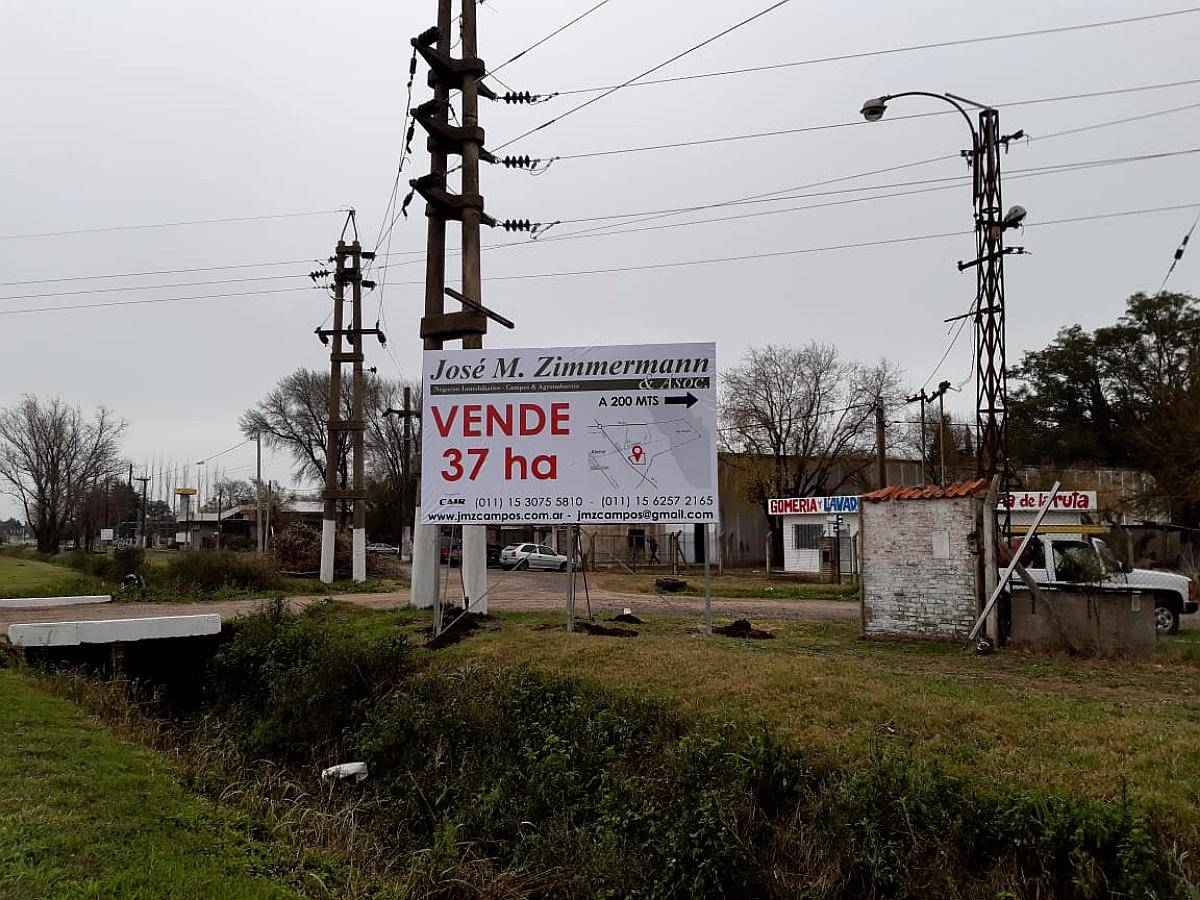 Alvear - 35 Ha - Santa FE