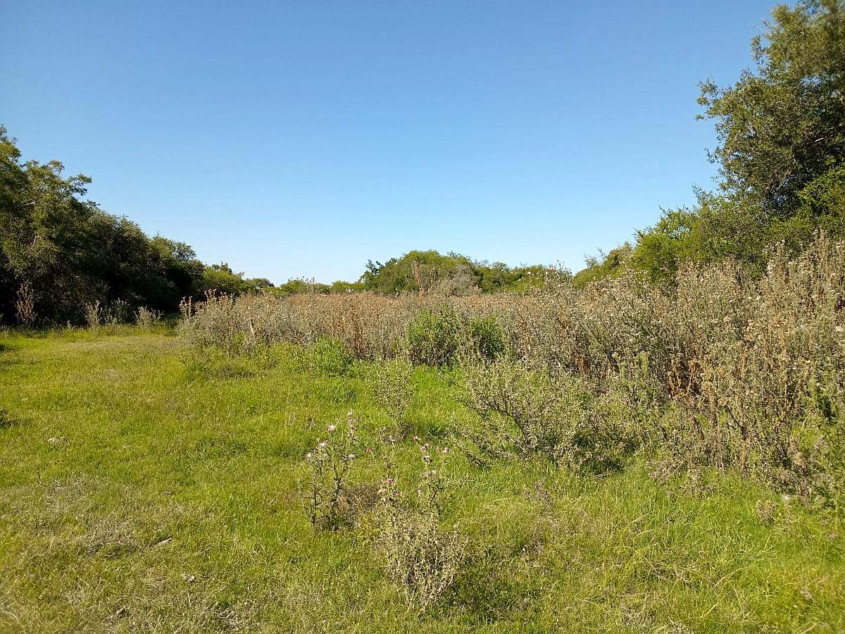 Campo Ganadero 140 HA. María Grande. Solo Interesados