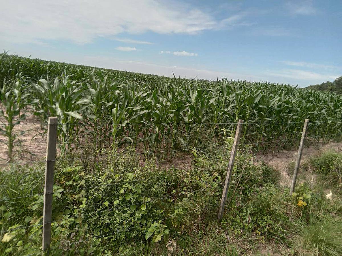 Formosa -2650 Has - Oportunidad-