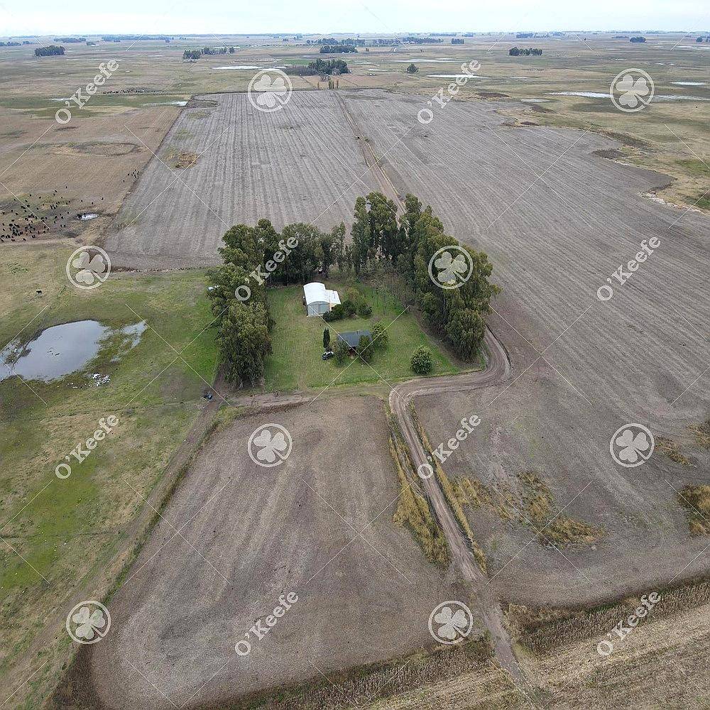 Campo en Venta de 324 Has en General Alvear. Mixto