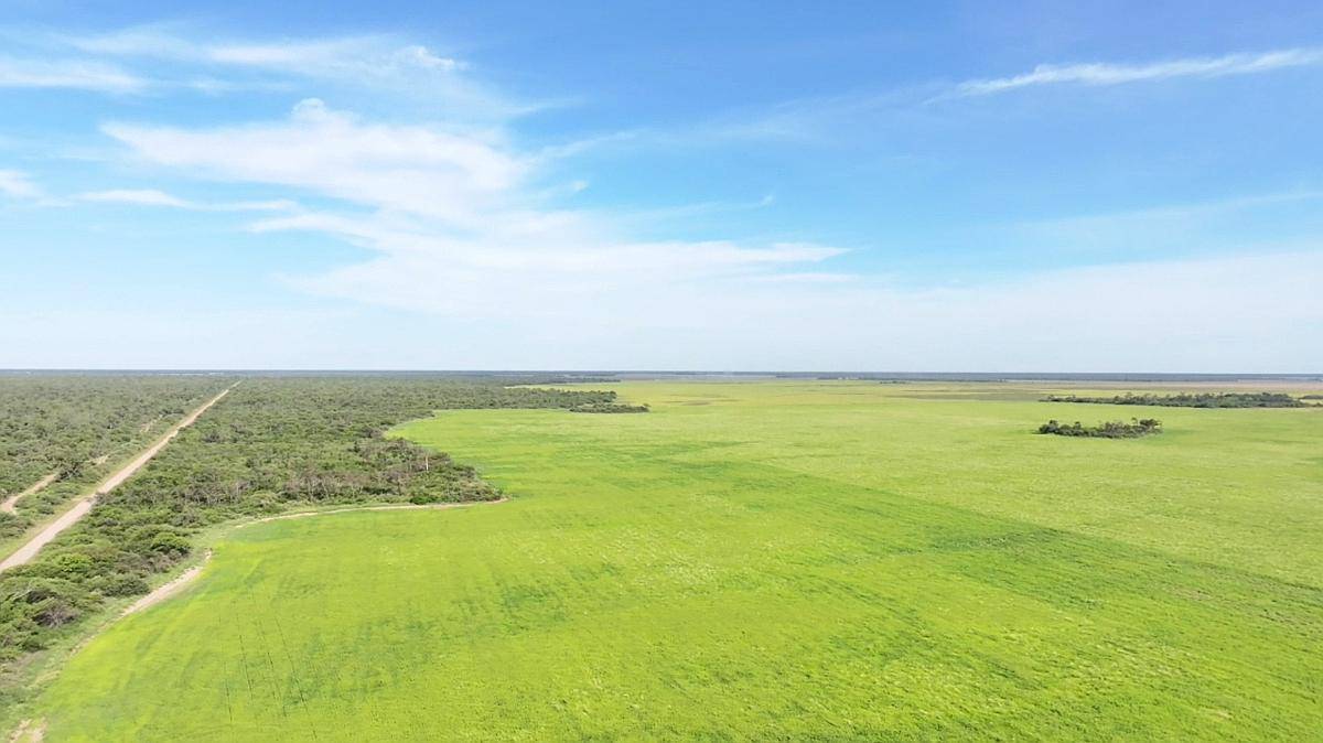 Chaco Frentones 630 Has