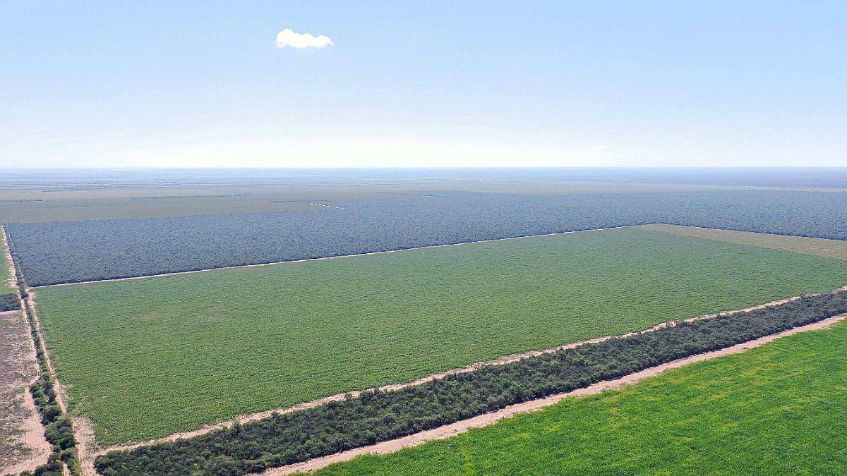 Pcia. de Santiago del Estero - el Fisco de Fátima 9389 Has