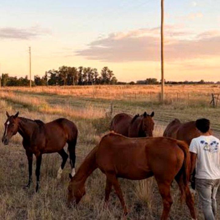 Las Heras Chacra 12 Has