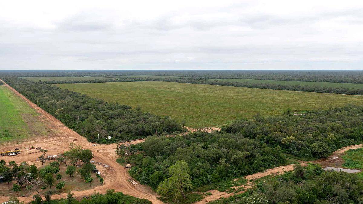 Pcia. de Salta - las Maravillas 2889 Has