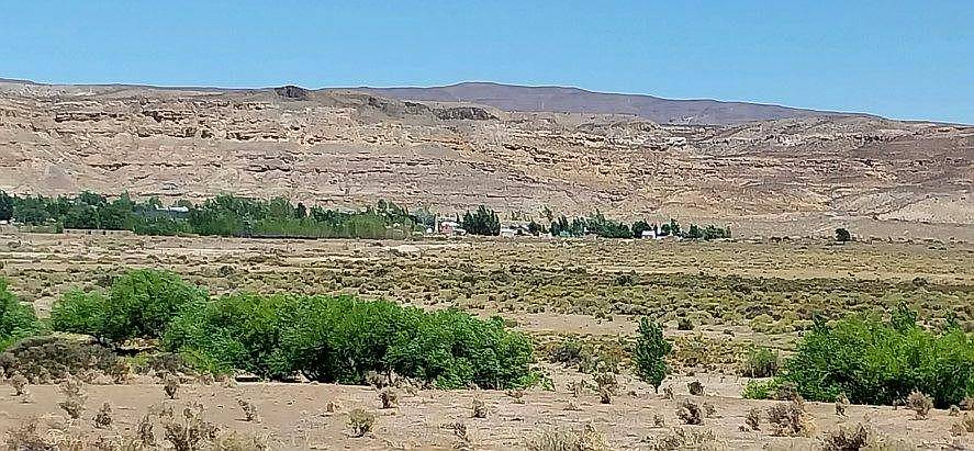 Hectáreas a Refinanciar con Título