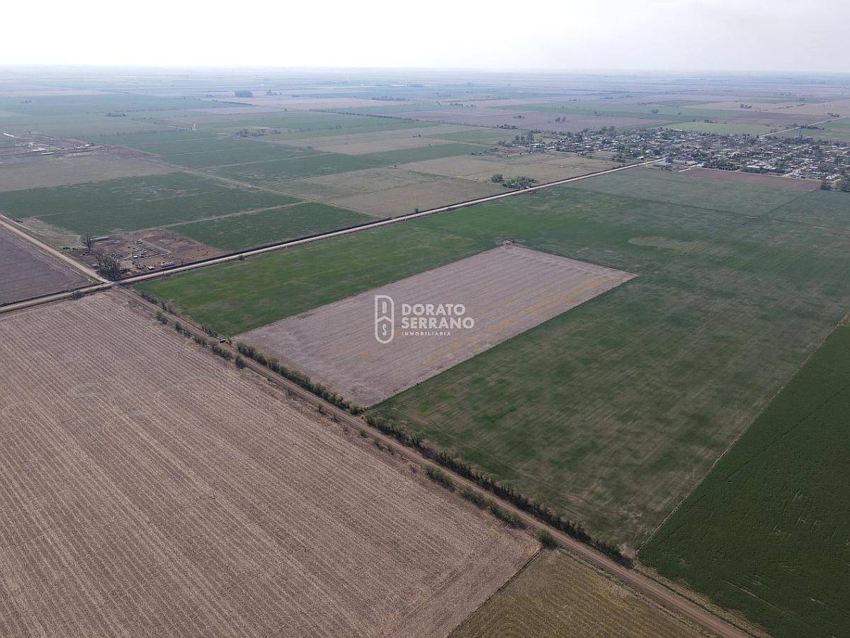 Campo Agricola - Colonia Belgrano - 28,5 Has.