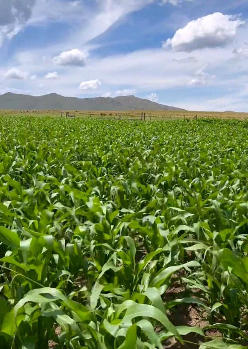 Vendo Campo Villa Mecedes