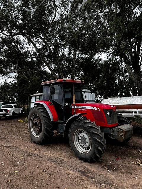 Massey Feguson 4292 HD