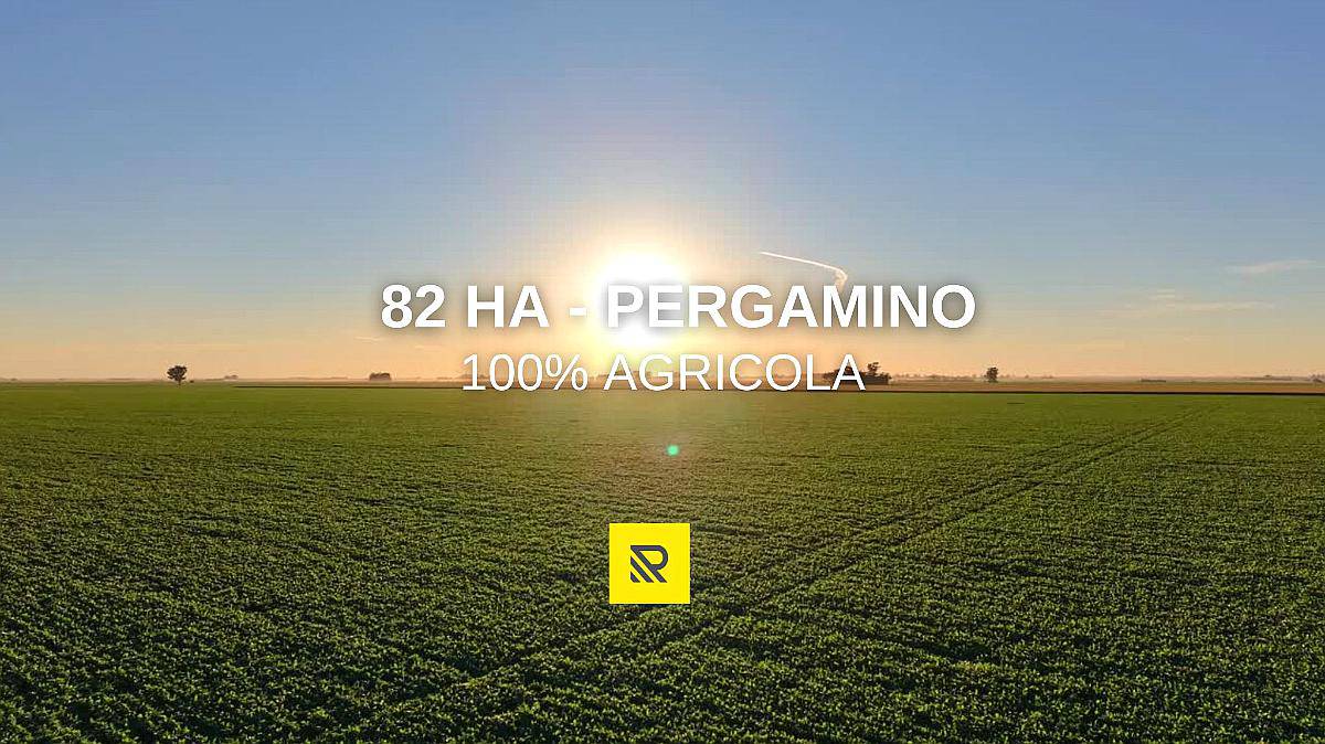 82ha Pergamino Campo en Venta