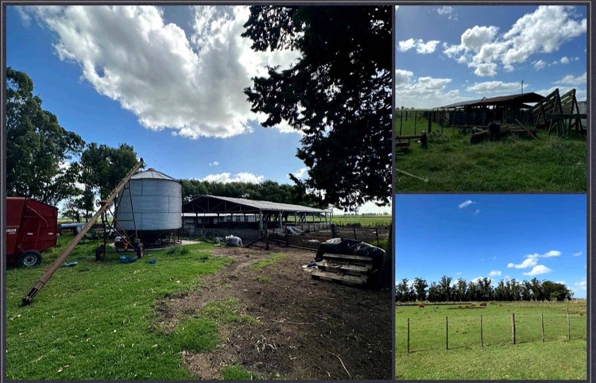 Venta Chacra 30 Has en Balcarce