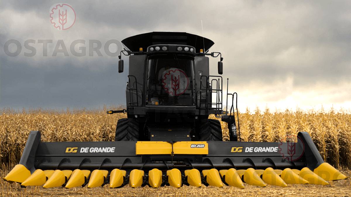 Maicero de Grande ED-2020