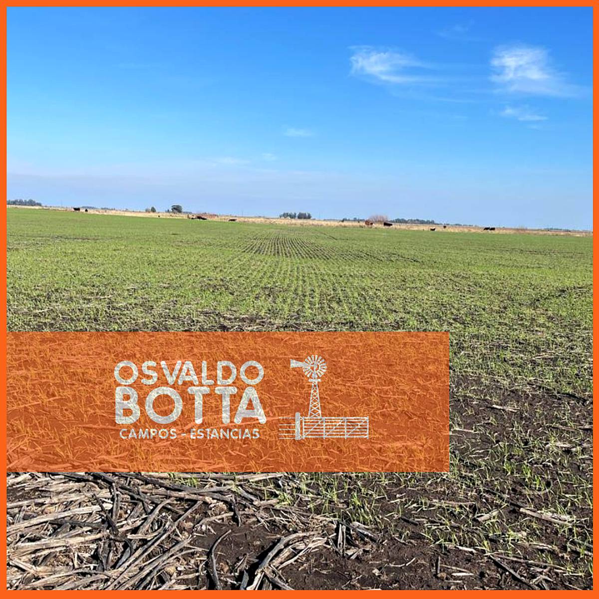 800has Balcarce, Buenos Aires.