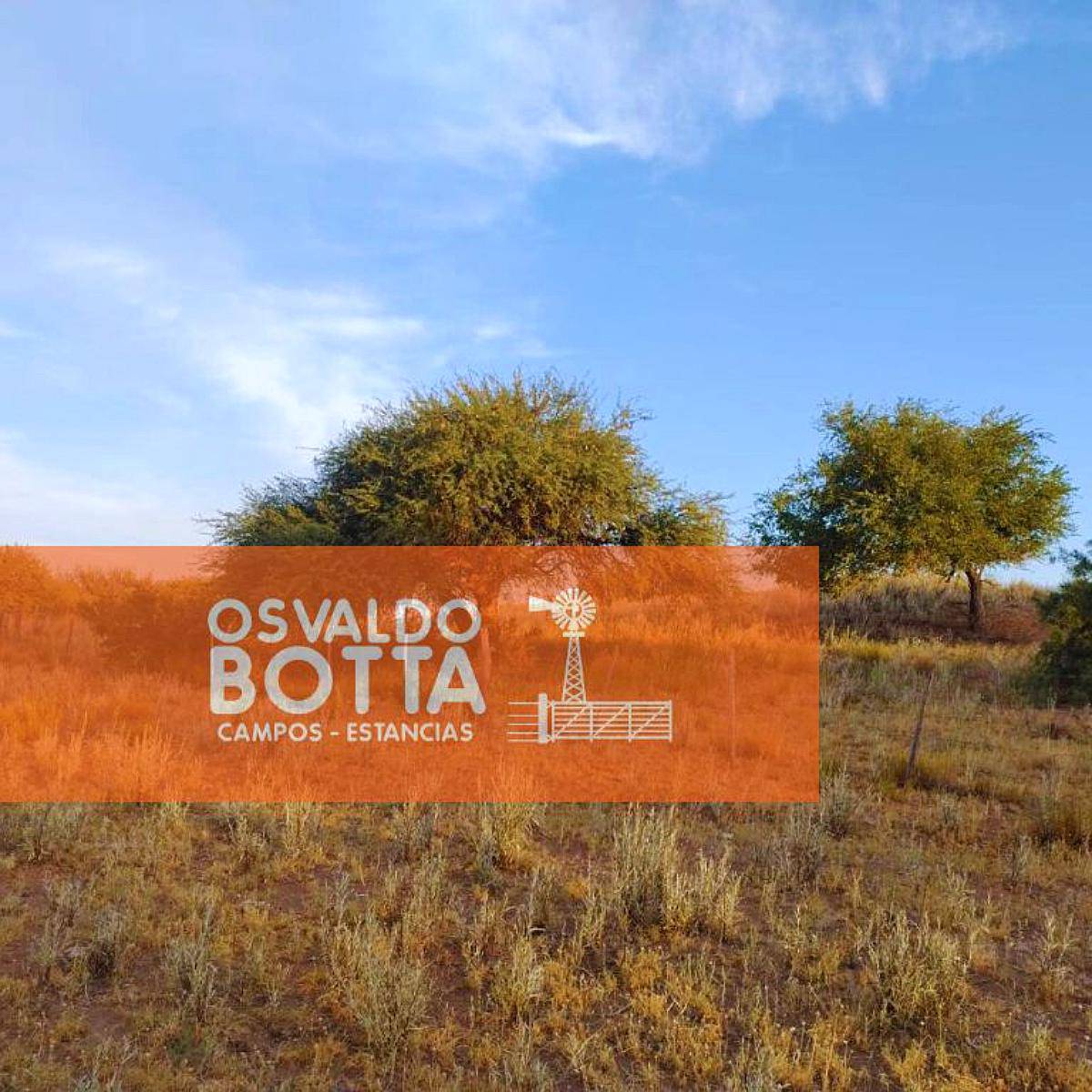 Campo en Venta 1250has Telen, la Pampa