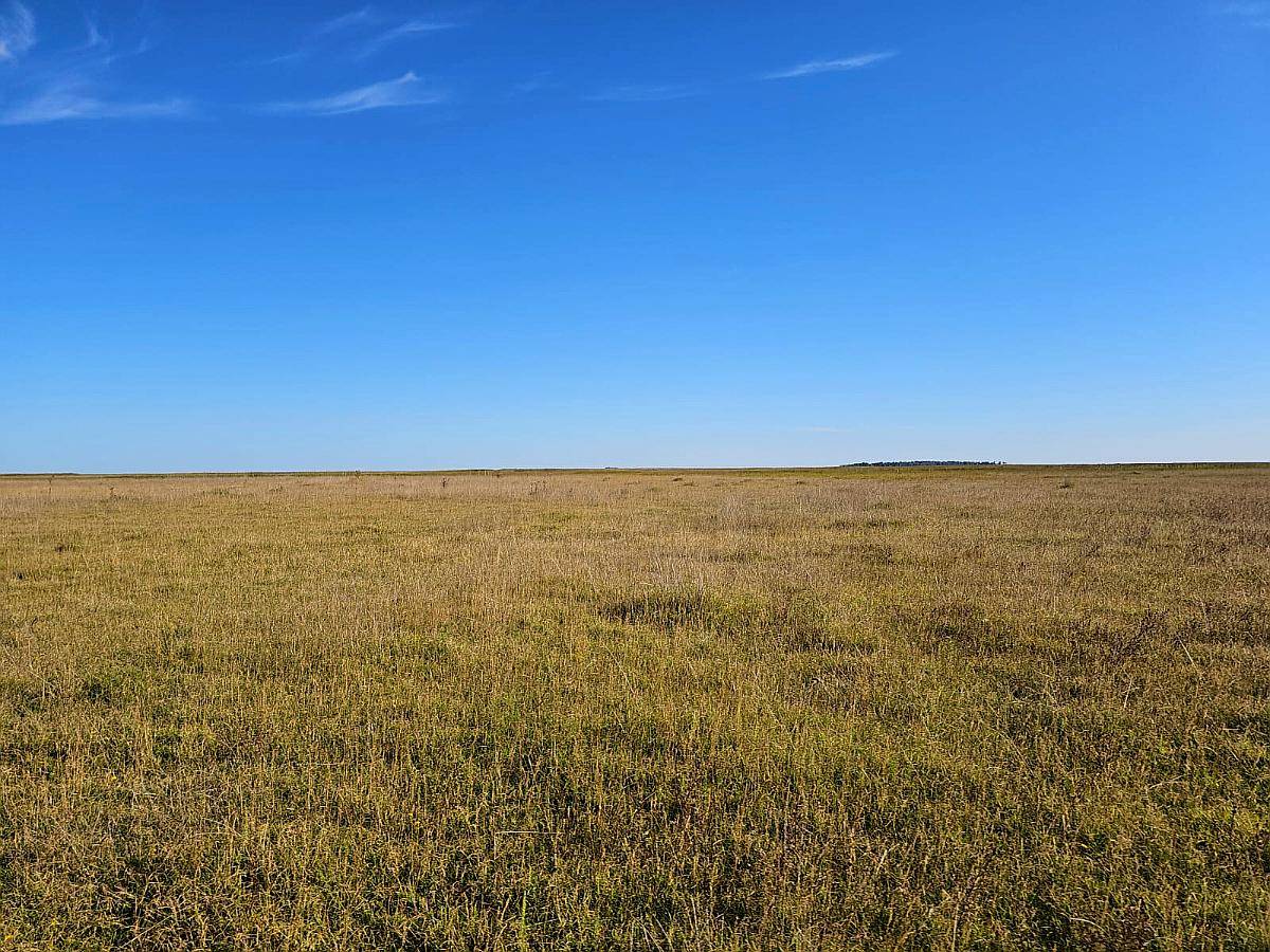 Campo Alquiler Pila 4400 Ha