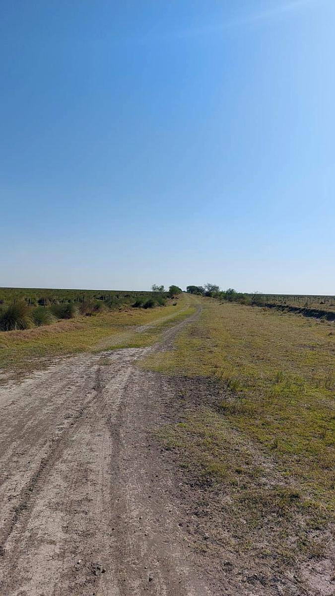 Vendo Campo Ganadero Mixto 15000 Has Dpto Vera Santa FE