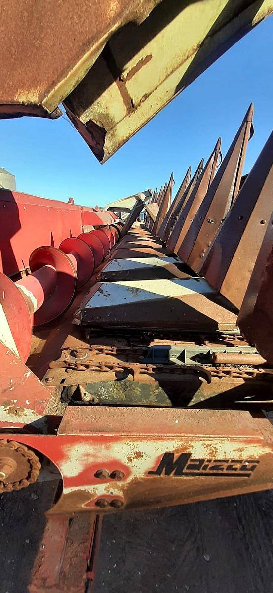 Maicero Maizco Premium de 12 a 70 cm