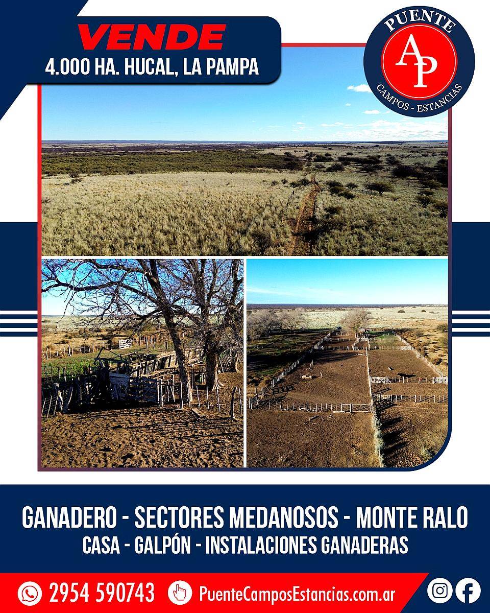 4.000 HA. Abramo, la Pampa
