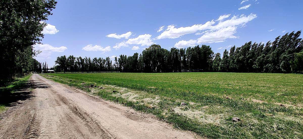Luis Beltran, Avellaneda, Rio Negro, Argentina