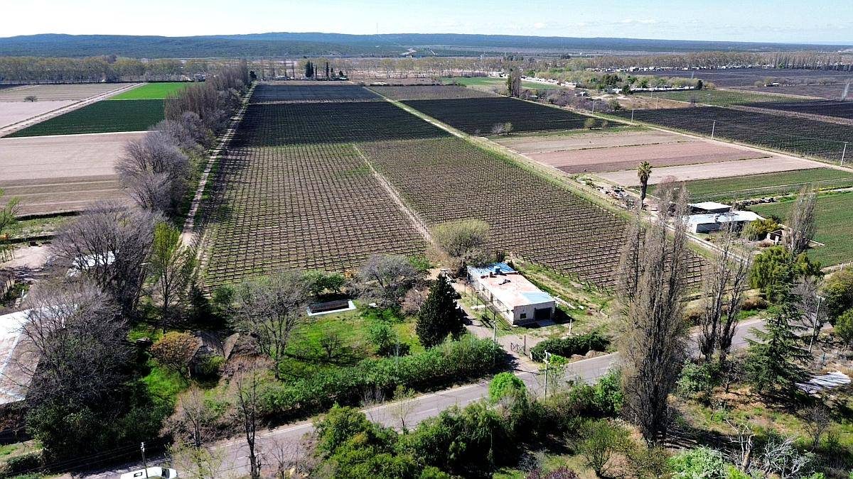 Venta de Finca en Agrelo, Lujan de Cuyo - Mendoza