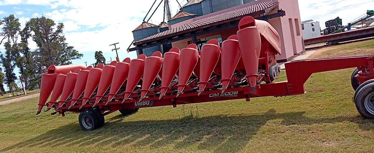 Maicero Ombu 2008 13/52